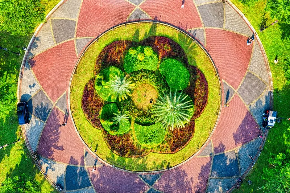 Taille d'un arbre fruitier