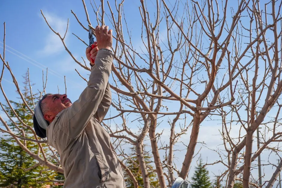 Massif fleuri amenage par Les Jardins de Guillaume